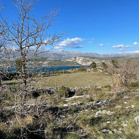 Villa Planita Dalmacija Novigrad  Exteriör bild