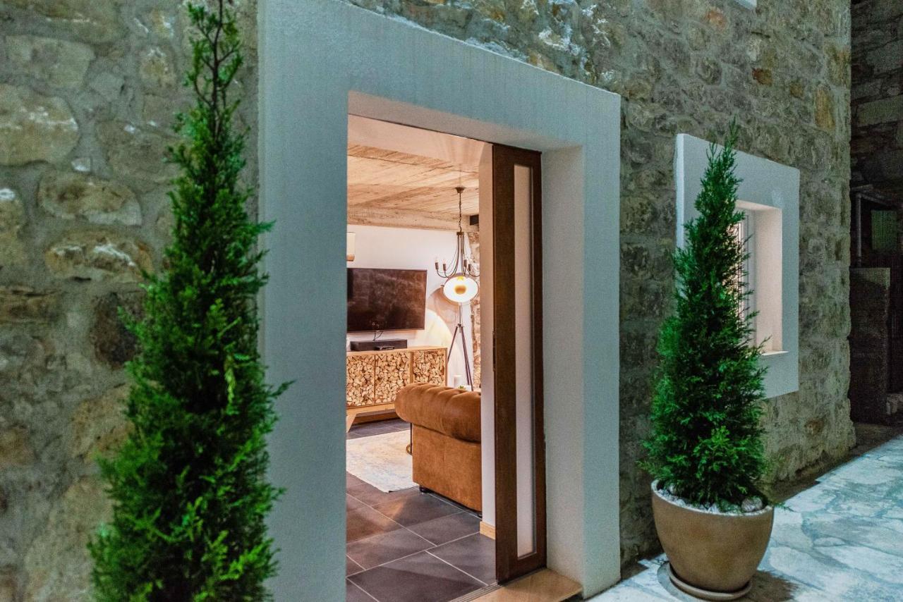 Villa Planita Dalmacija Novigrad  Exteriör bild