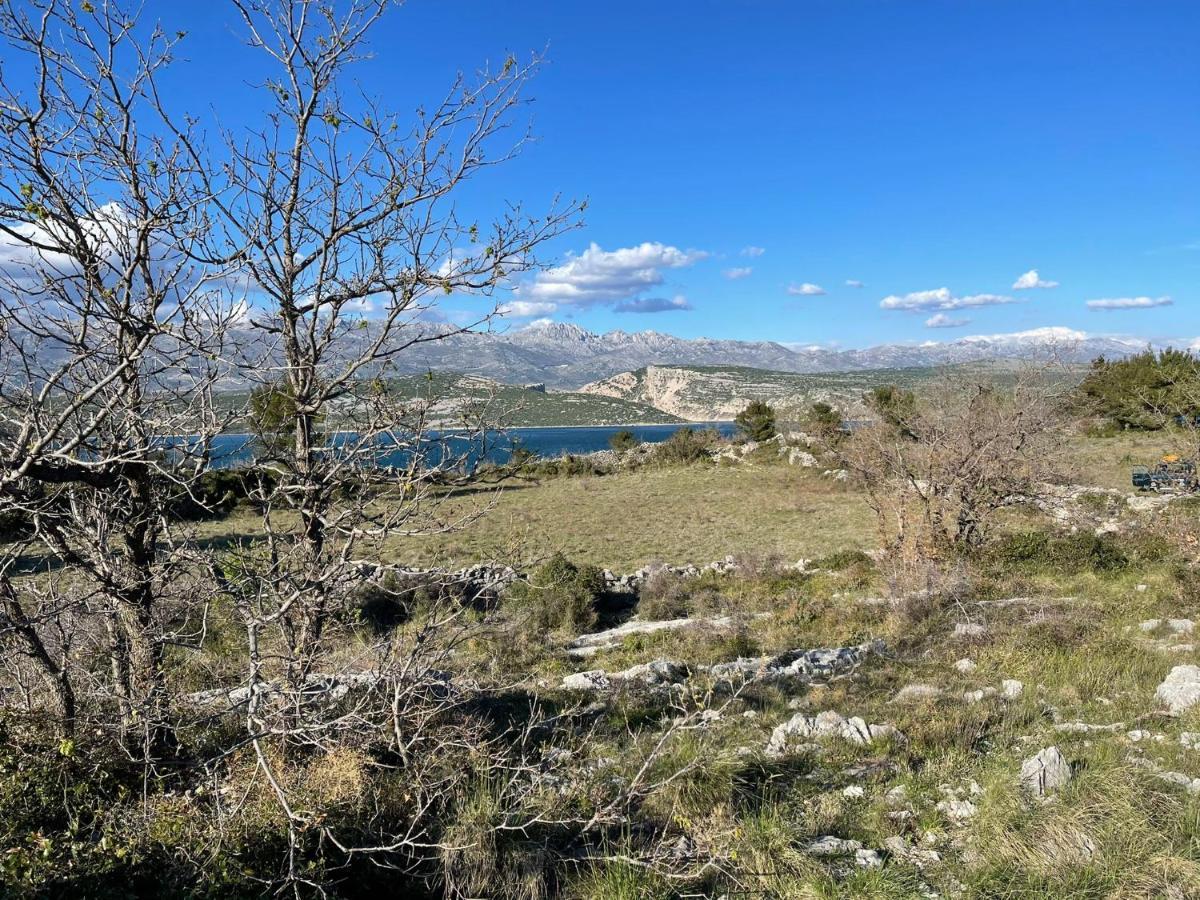 Villa Planita Dalmacija Novigrad  Exteriör bild