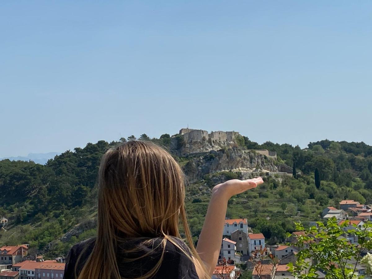 Villa Planita Dalmacija Novigrad  Exteriör bild